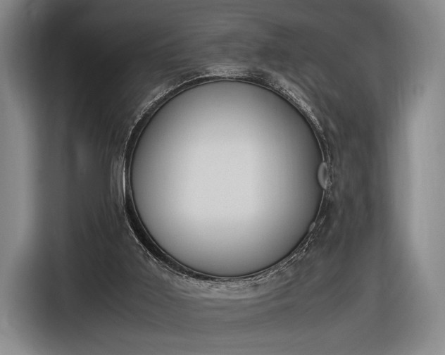 X0000116460011200912161241