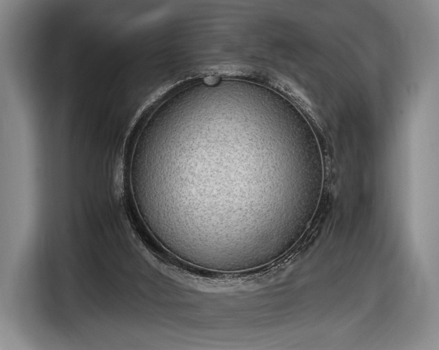 X0000116460012200912161241