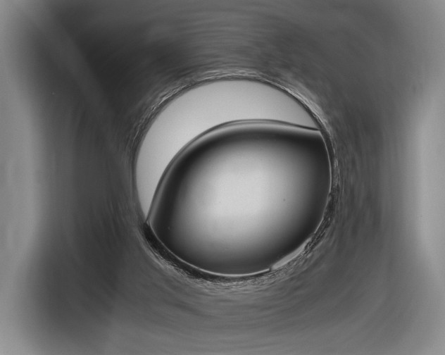 X0000116460013200912161241