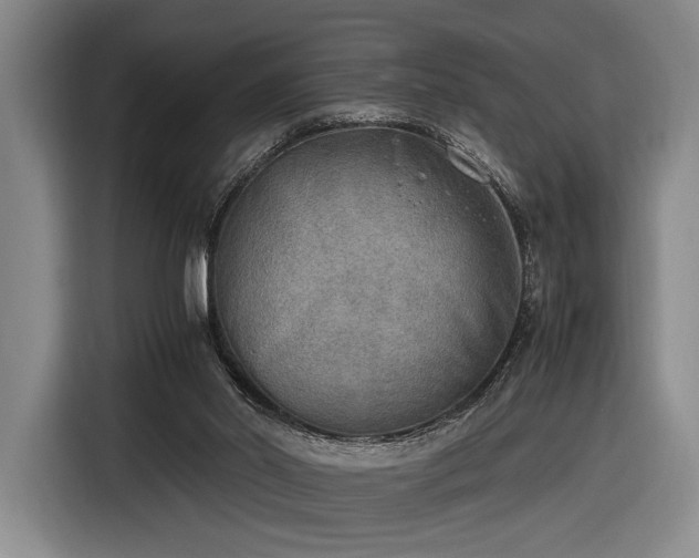 X0000116460014200912161241