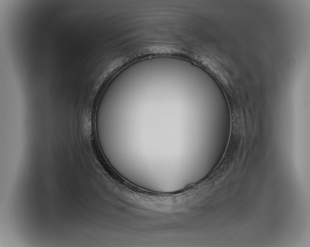X0000116460015200912161241