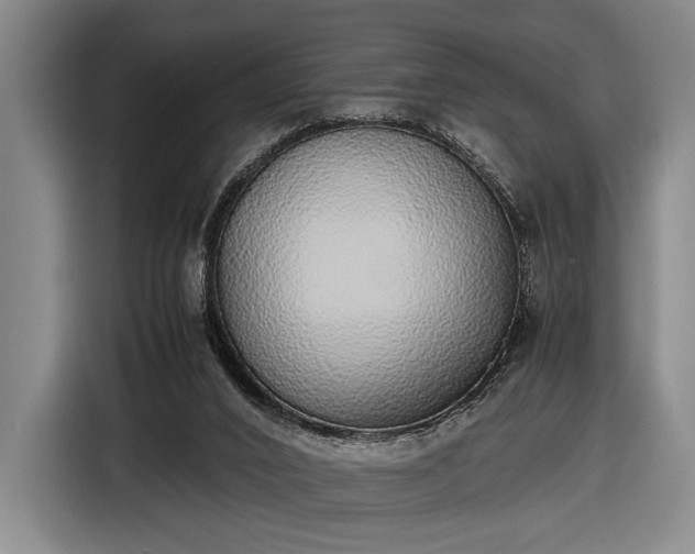 X0000116460016200912161241