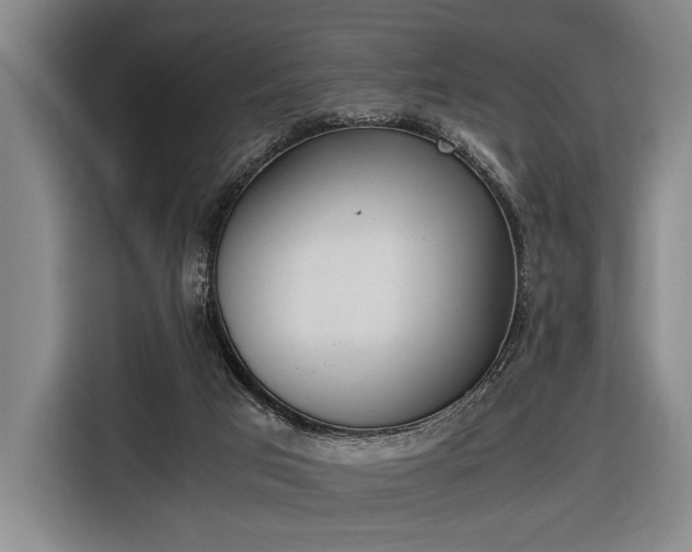 X0000116460017200912161241