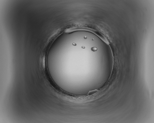 X0000116460019200912161241