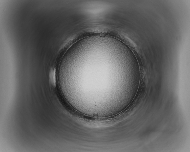 X0000116460020200912161241
