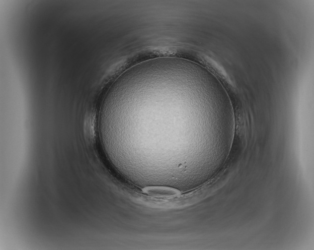 X0000116460023200912161241