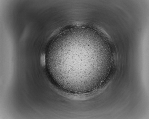 X0000116460024200912161241