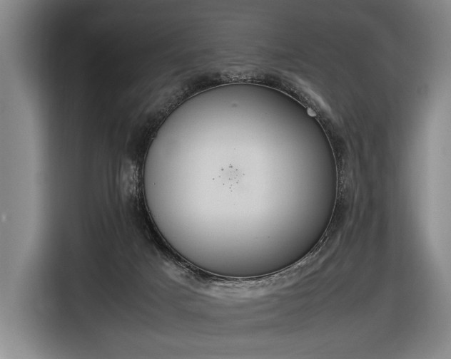 X0000116460025200912161241