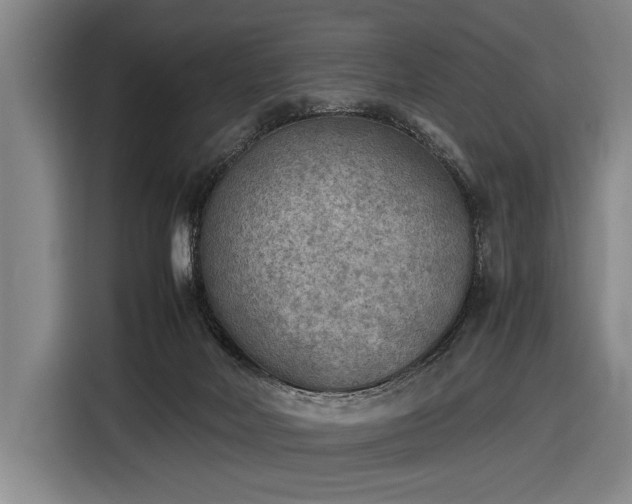 X0000116460026200912161241