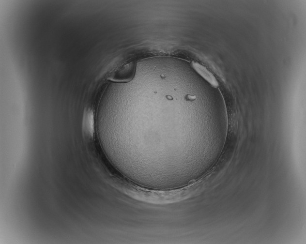 X0000116460027200912161241