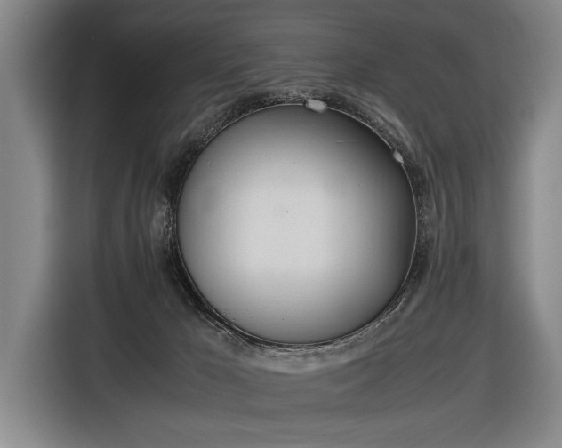 X0000116460029200912161241