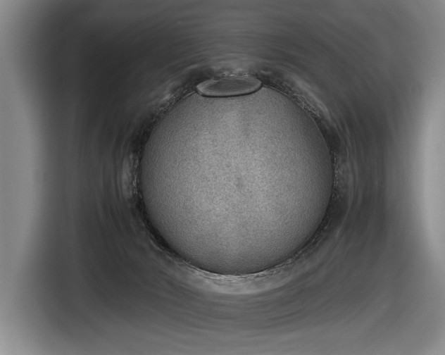 X0000116460030200912161241