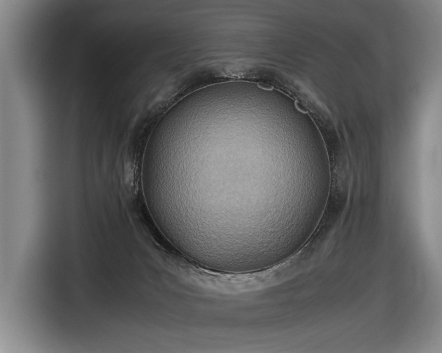 X0000116460031200912161241
