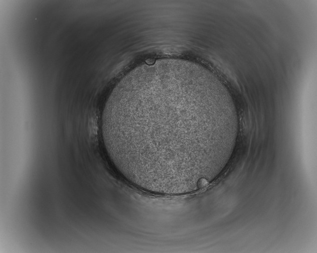 X0000116460032200912161241