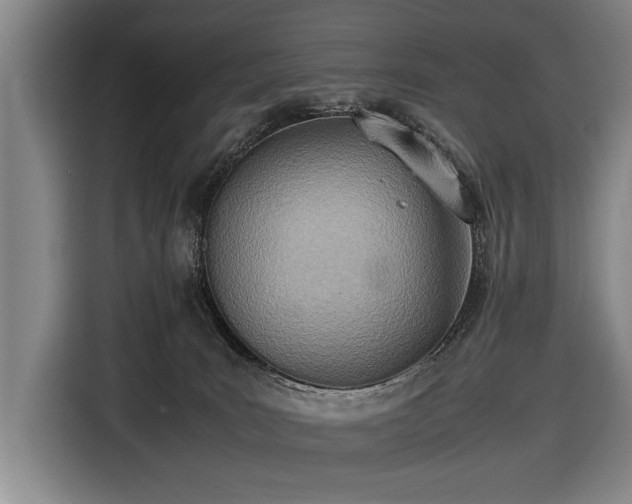 X0000116460035200912161241