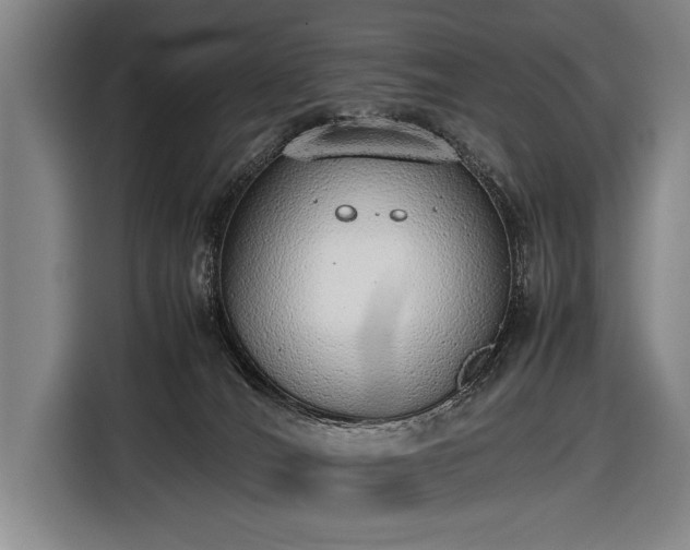 X0000116460036200912161241