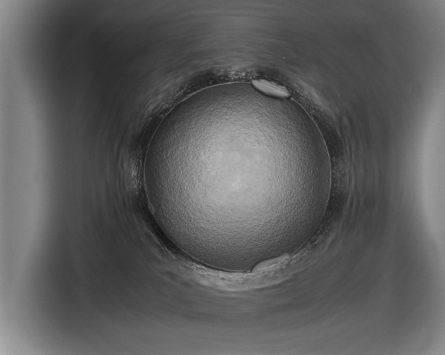 X0000116460039200912161241