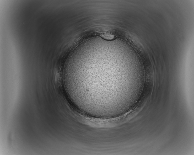 X0000116460040200912161241