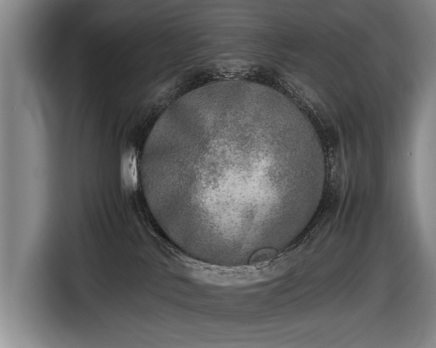 X0000116460042200912161241