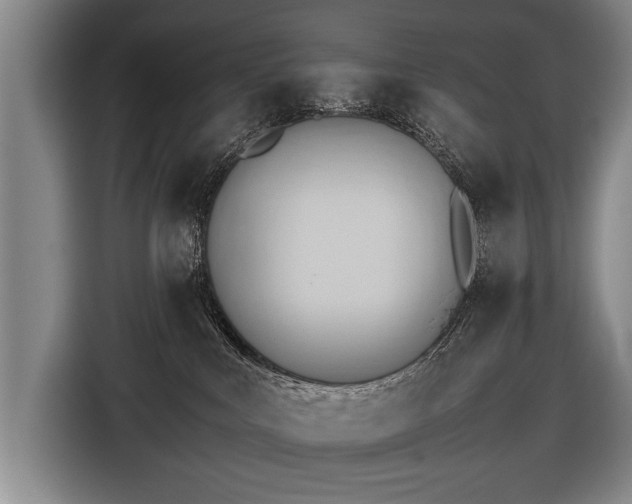 X0000116460043200912161241