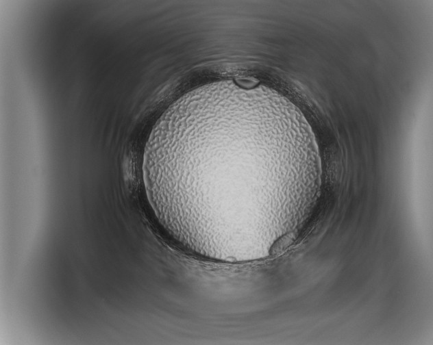 X0000116460044200912161241