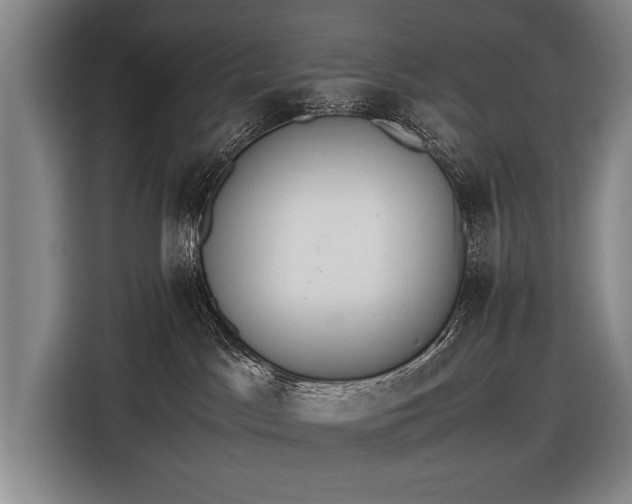 X0000116460045200912161241