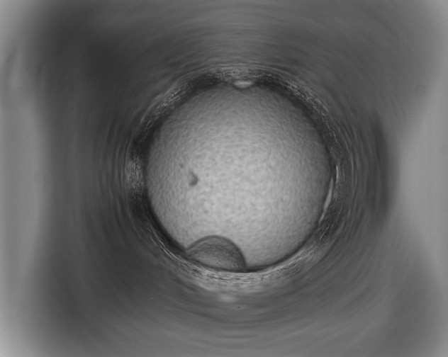 X0000116460048200912161241