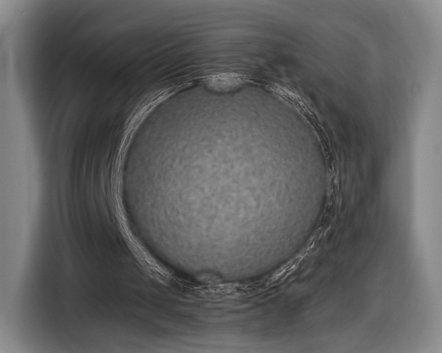 X0000116460049200912161240
