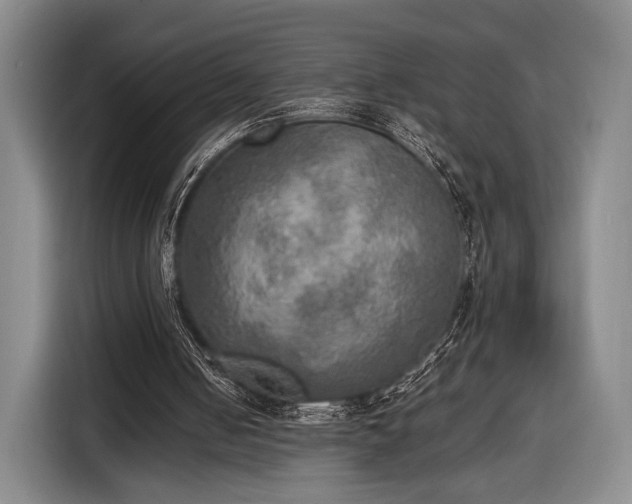 X0000116460050200912161240