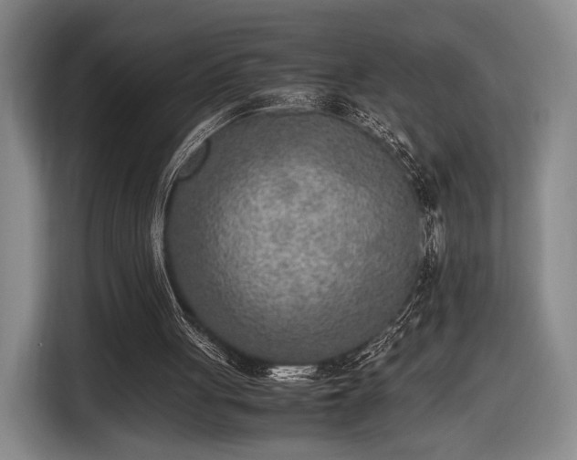 X0000116460051200912161240