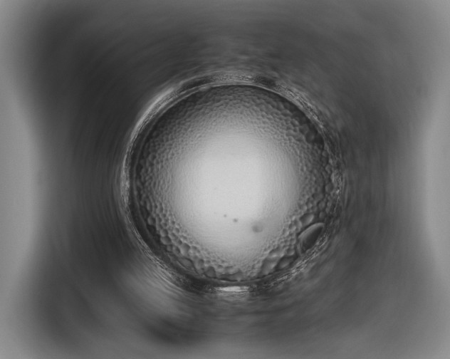 X0000116460053200912161240