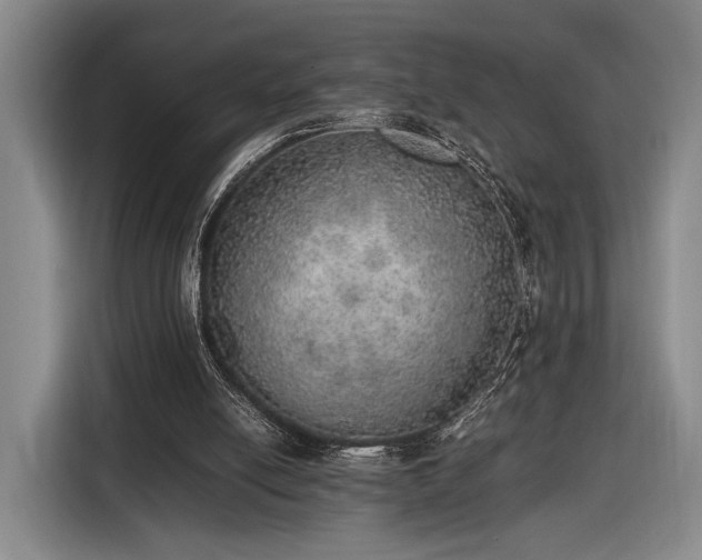 X0000116460054200912161240