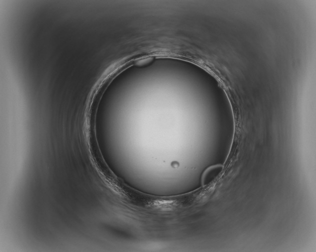X0000116460055200912161240