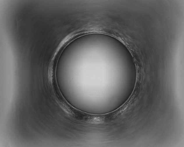 X0000116460056200912161240