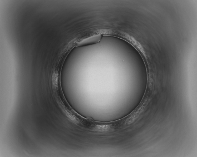 X0000116460057200912161240