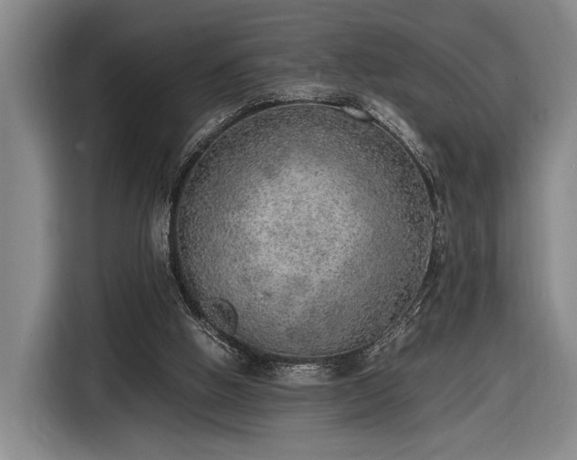 X0000116460058200912161240