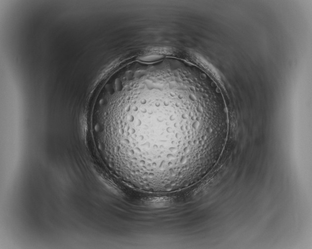 X0000116460059200912161240