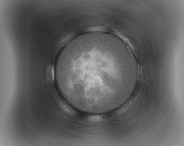 X0000116460061200912161240