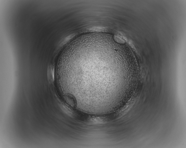 X0000116460062200912161240
