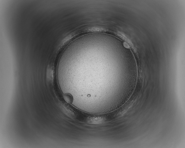 X0000116460063200912161240