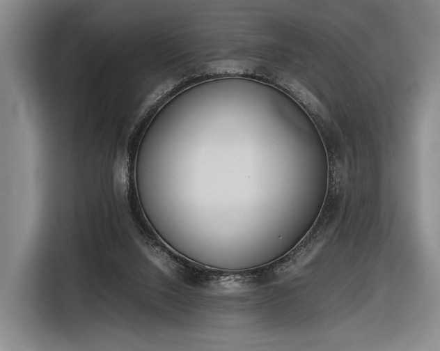 X0000116460064200912161240