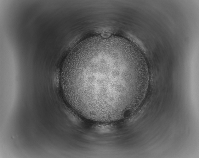 X0000116460065200912161240