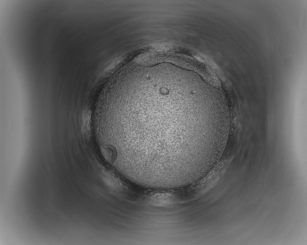 X0000116460066200912161240