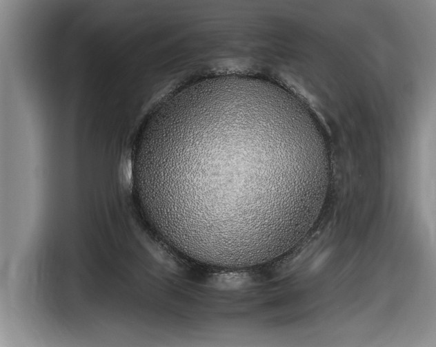 X0000116460067200912161240