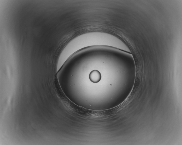 X0000116460070200912161240