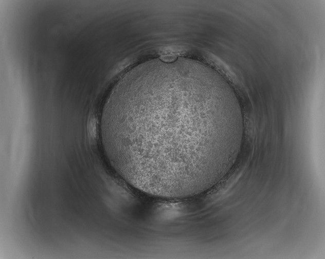 X0000116460071200912161240