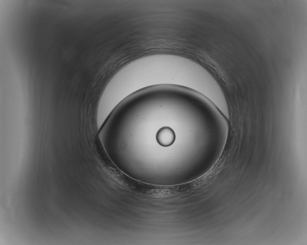 X0000116460074200912161240