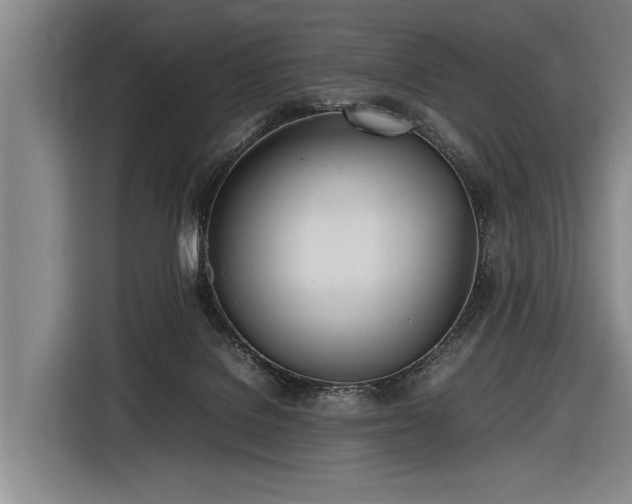 X0000116460076200912161240