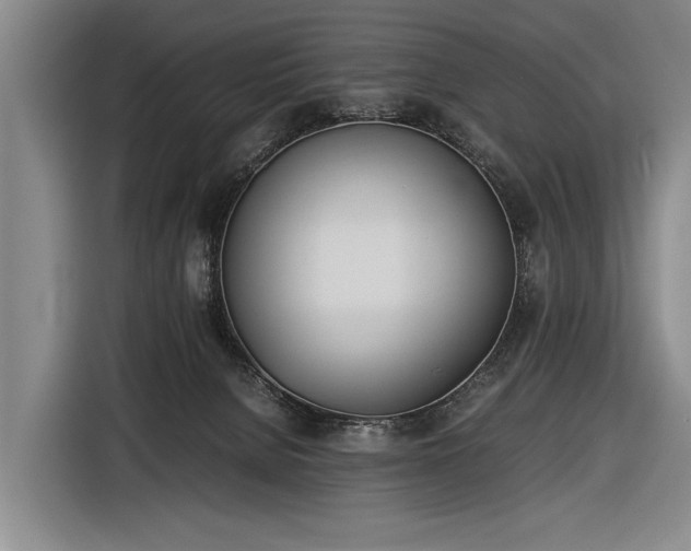 X0000116460080200912161240