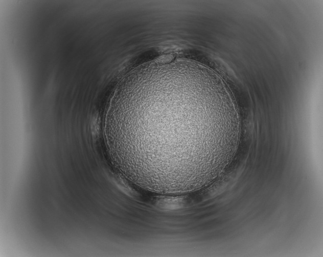 X0000116460081200912161240